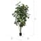 7ft. Potted Artificial Green Fiddle Tree